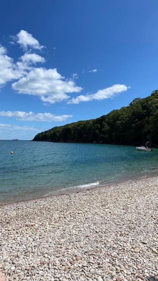 The Bonting Beautiful Three Bed Townhouse Near Harbour And Beach Torquay Zewnętrze zdjęcie